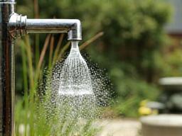 Water-saving gardening techniques